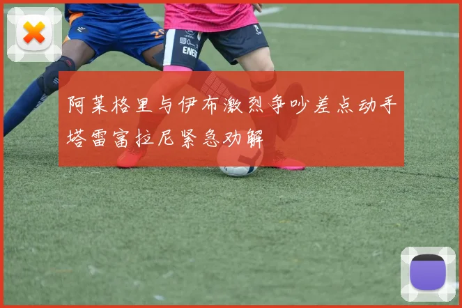 阿莱格里与伊布激烈争吵差点动手塔雷富拉尼紧急劝解